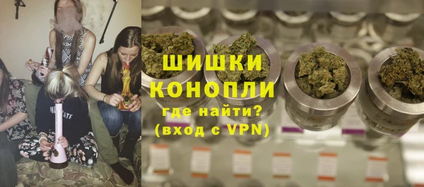 сатива Богородск